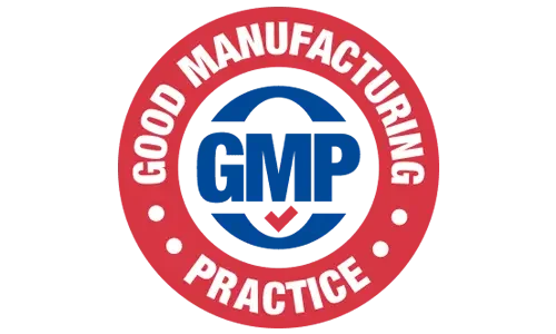 Neuro Memory GMP